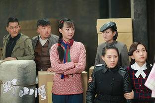 电视剧野山鹰在线观看,烽火岁月中的英雄传奇  第2张